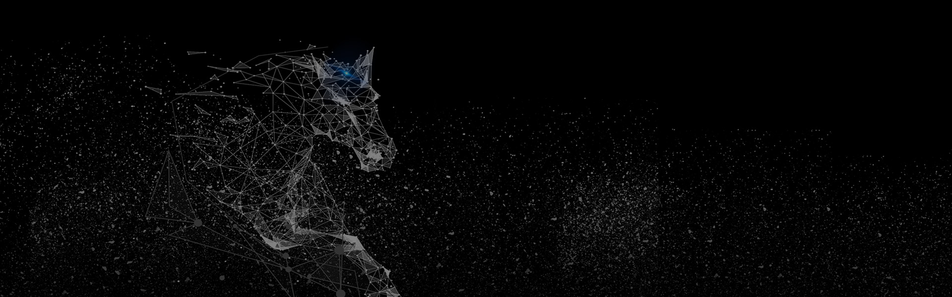 長沙專業(yè)的網(wǎng)站建設(shè)公司，提供專業(yè)的服務(wù)讓您放心，安心