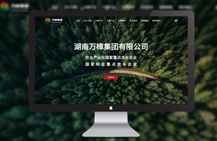 營銷網(wǎng)站案例-湖南萬樟集團(tuán)
